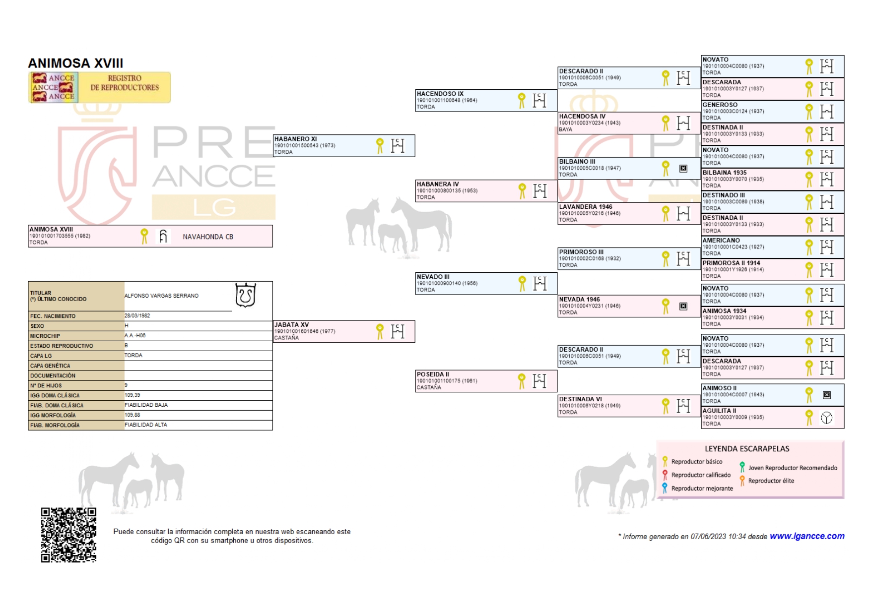 árbol genealógico del caballo