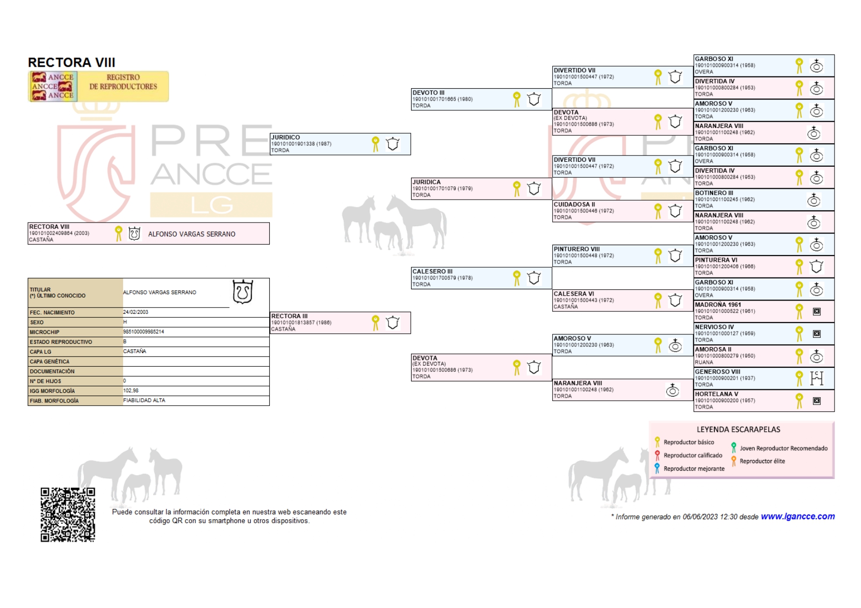 árbol genealógico del caballo